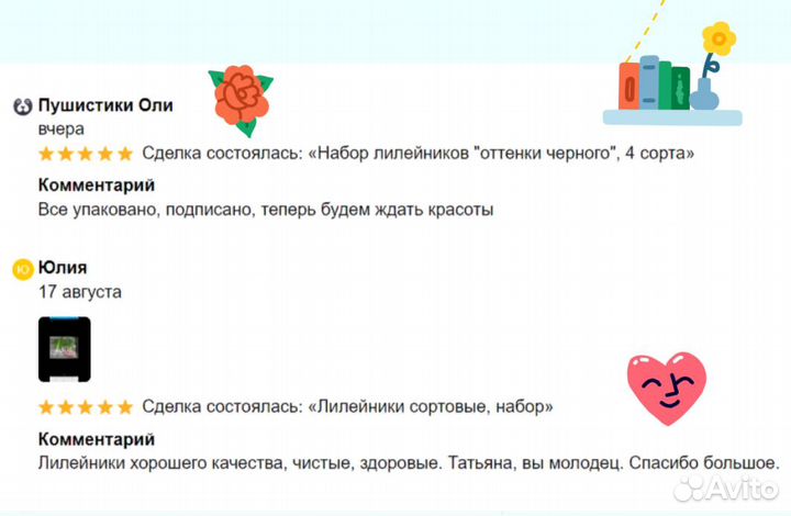 Набор лилейников 