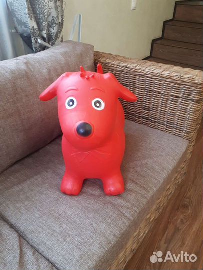 Собака попрыгун