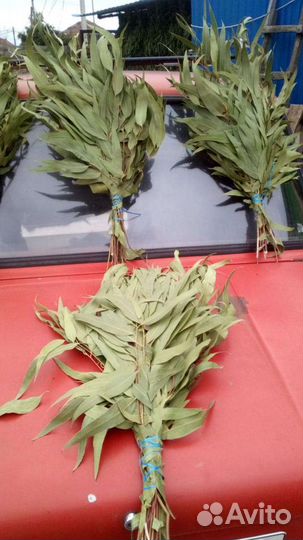 Эвкалиптовый веник