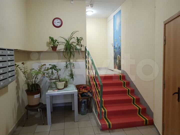 2-к. квартира, 61,6 м², 6/17 эт.