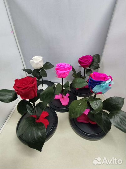 Подарок маме / Роза в колбе