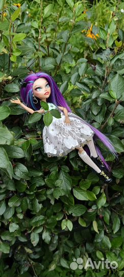 Куклы monster high