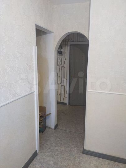 1-к. квартира, 25,9 м², 1/2 эт.