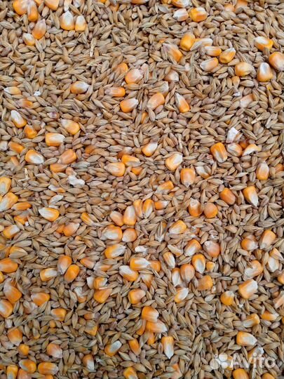 Зерносмесь