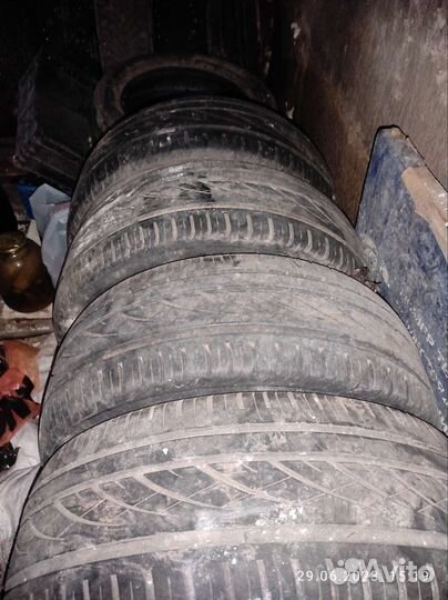Continental PremiumContact 6 205/55 R16