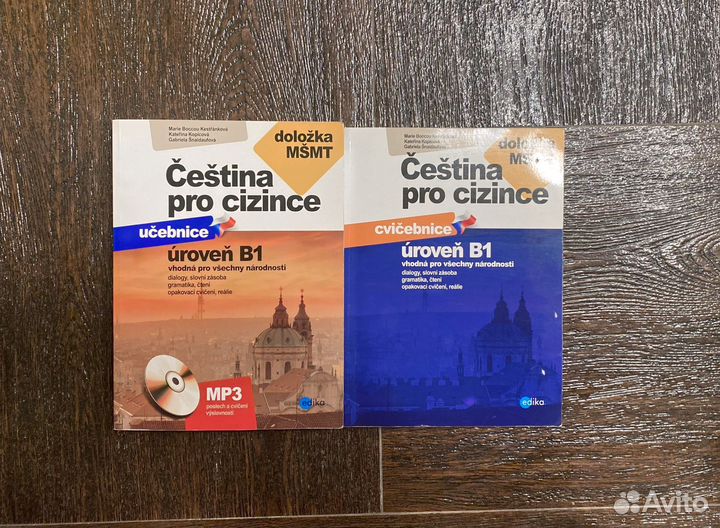 Учебник Чешского Языка
