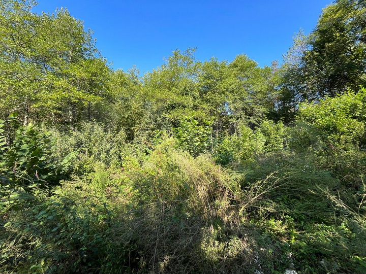 Участок 5,6 сот. (СНТ, ДНП)