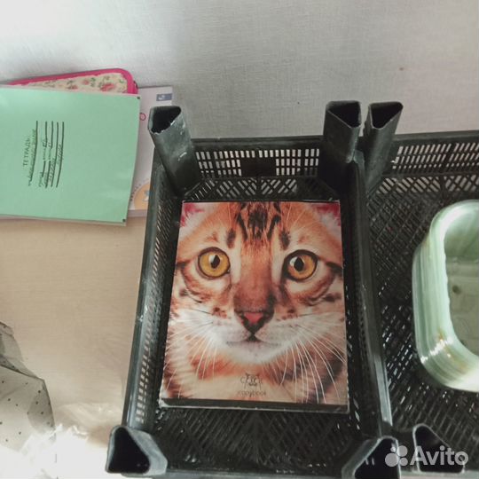 Ящички для рассады