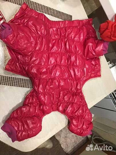 Одежда для маленьких собак