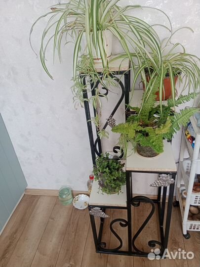 Полочка для цветов на заказ