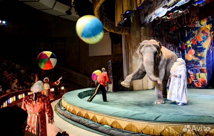 Билеты в уголок Дедушки дурова