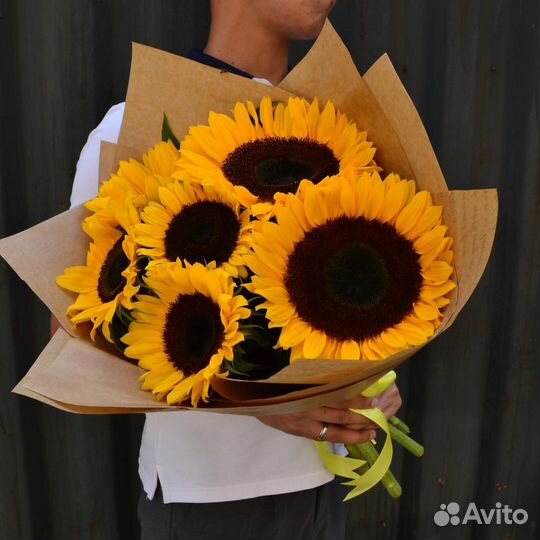 Подсолнух Цветы Букет Москва