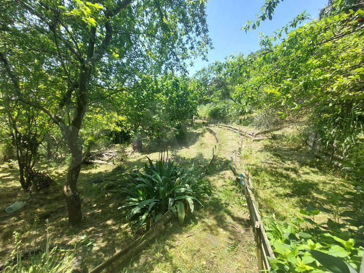 Участок 4,5 сот. (СНТ, ДНП)