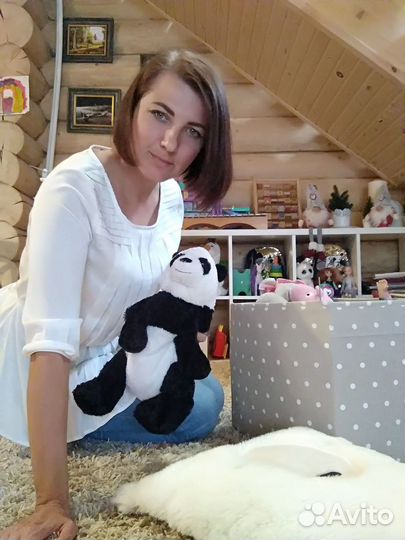 Няня, авто няня,сопровождение ребенка