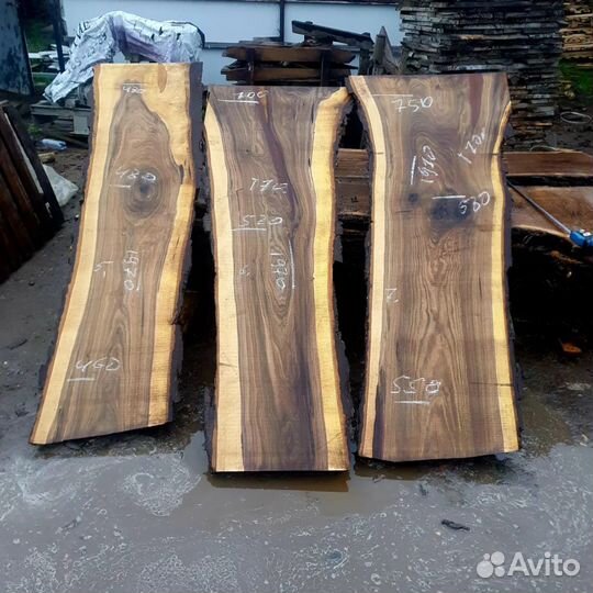 Слебы чёрного ореха