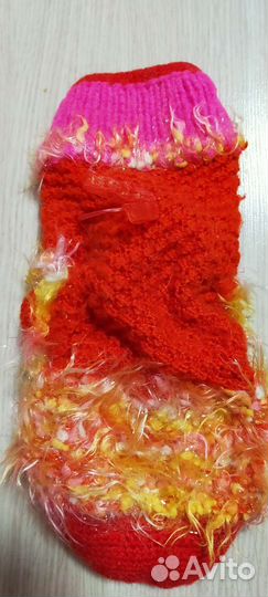 Одежда для животных