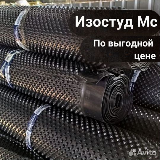 Изостуд Мс