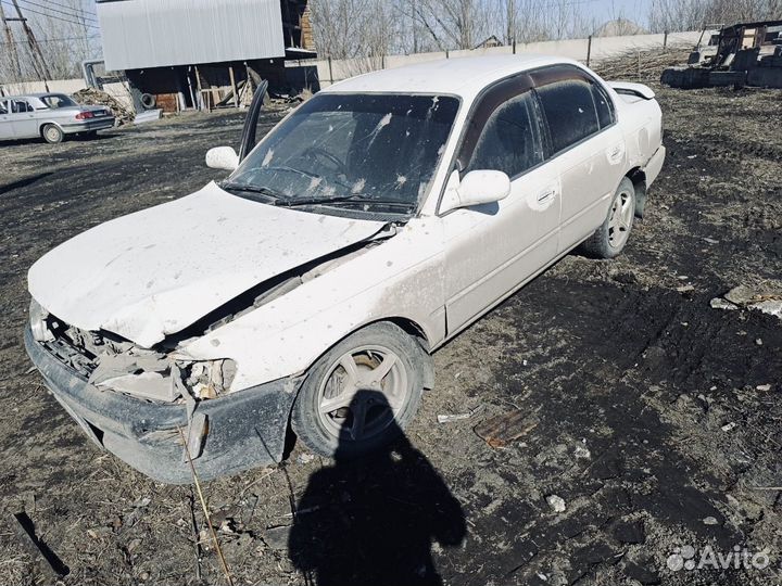 Toyota Corolla ae101
