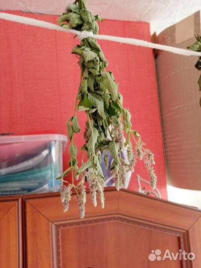 Мята перечная, мелисса сушеные