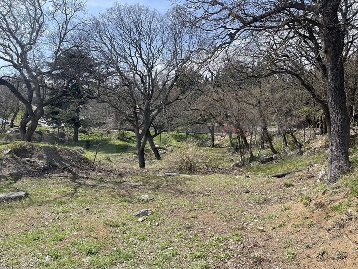 Участок 11,5 сот. (промназначения)