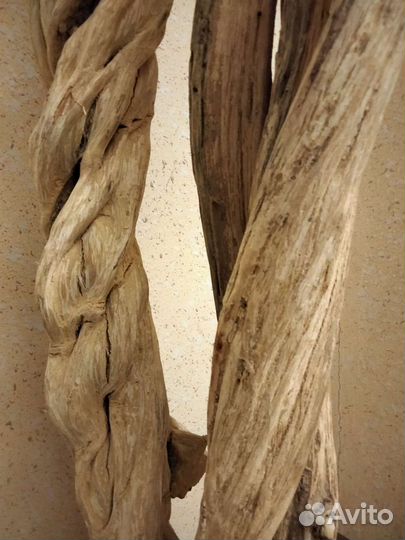 Декоративное дерево,сухое