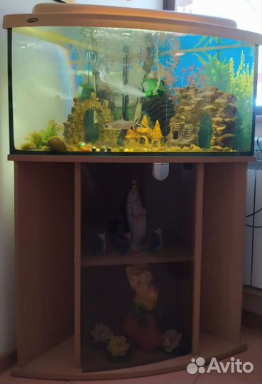 Аквариум
