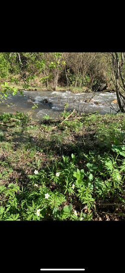 Участок 9 га (СНТ, ДНП)