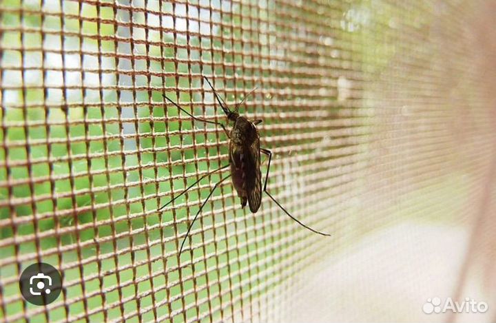 Москитные сетки по размеру ваших окон от насекомых