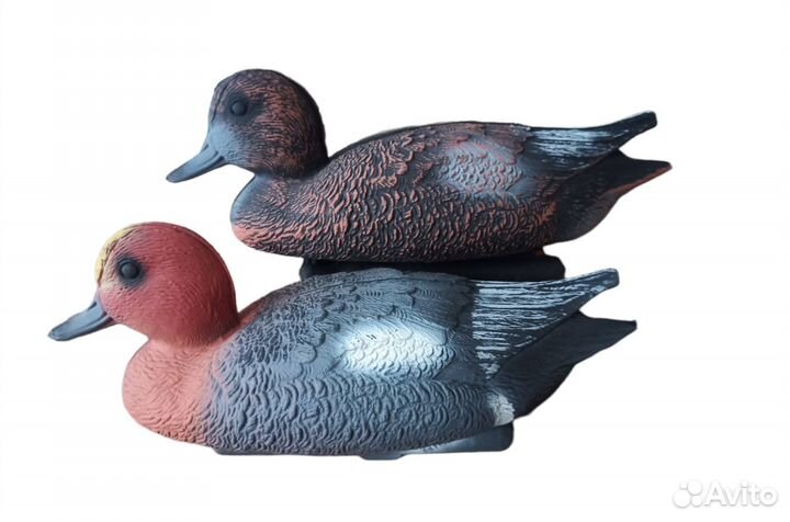 Утка Свиязь (чучело для охоты)