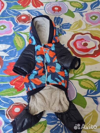 Одежда для собак