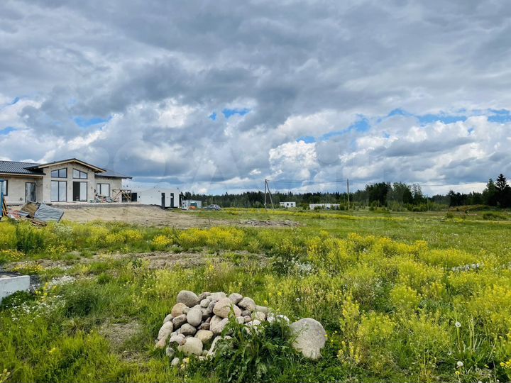 Участок 11,5 сот. (СНТ, ДНП)