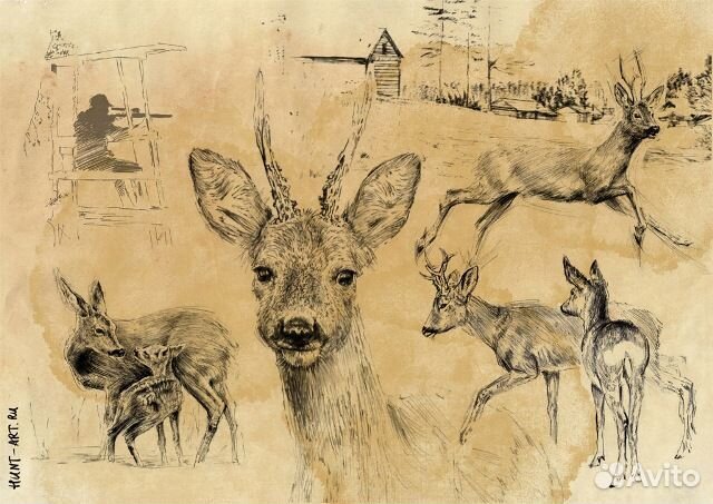 Охотничьи картины, графика