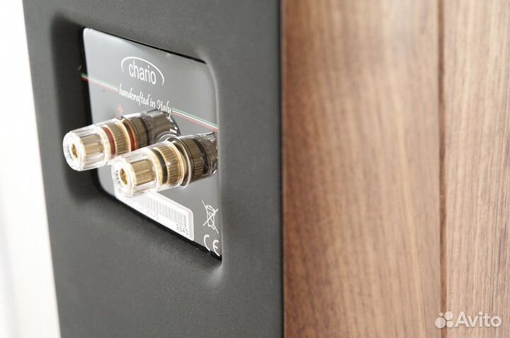 Chario constellation cygnus mkII в рассрочку