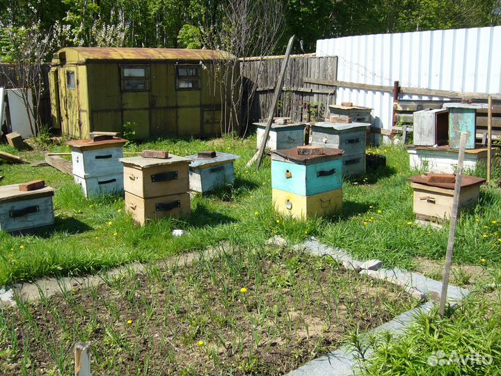 Ульи, колода