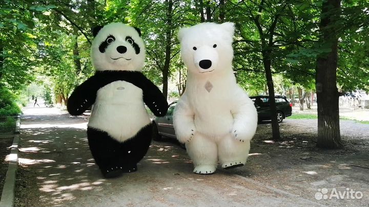 Белый Мишка и Панда Поздравление