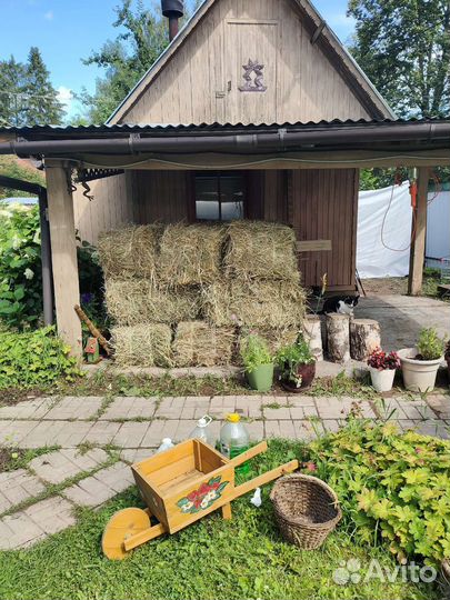 Сено для декора /для коз/кроликов