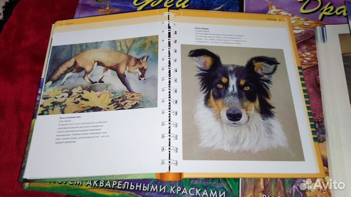 Книги по рисованию (манга, акварель, комиксы)