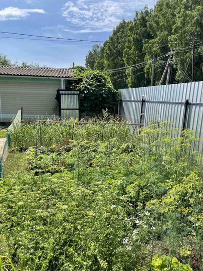 Дом 62 м² на участке 6 сот.