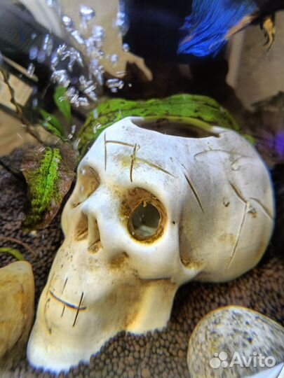 Грот в аквариум