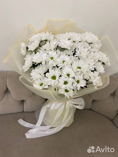 Хризантемы