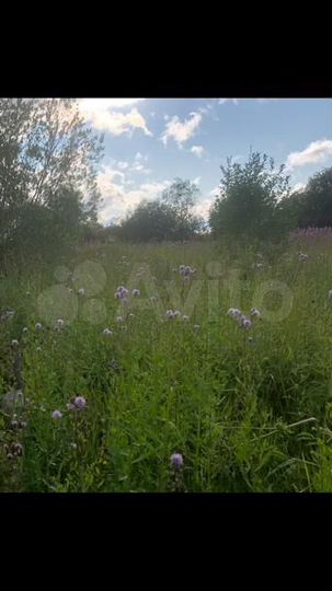 Участок 5,6 сот. (СНТ, ДНП)