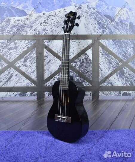 Укулеле - концерт (новая), комплект