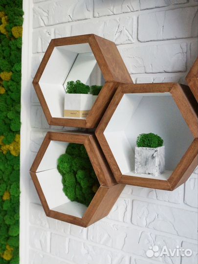 Кашпо со мхом