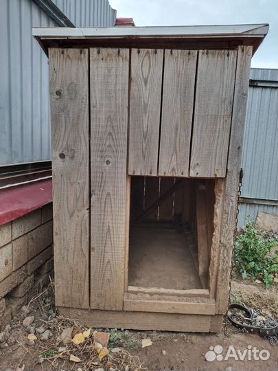 Собачья будка