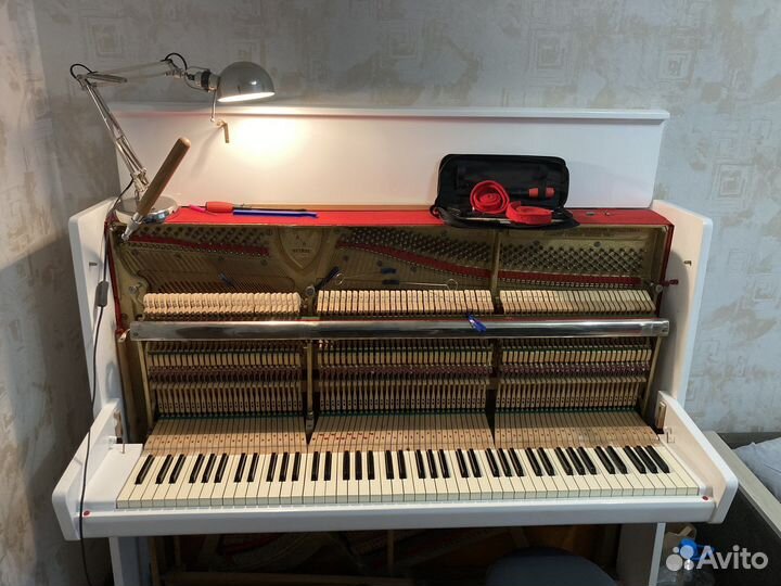 Настройка и ремонт пианино (настройщик пианино)