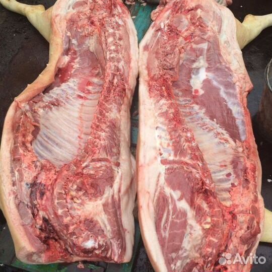 Домашняя свинина