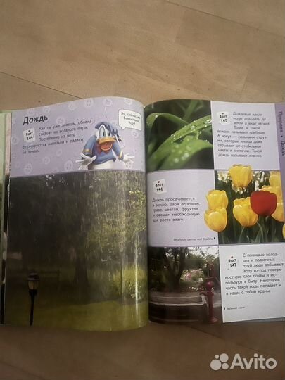 Книги дисней