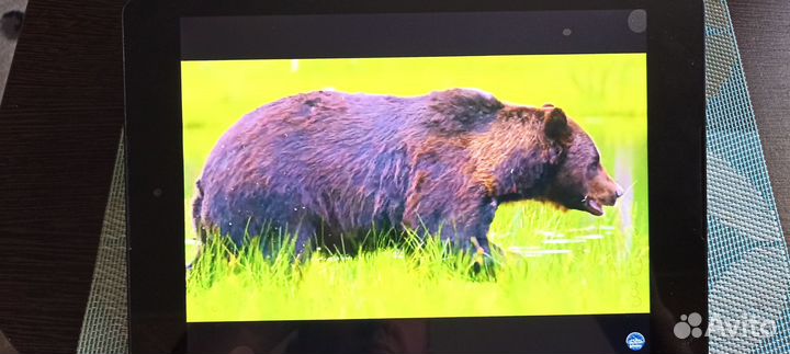 Планшет Nexus 9