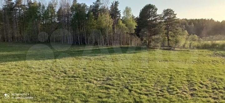Участок 6 га (ИЖС)