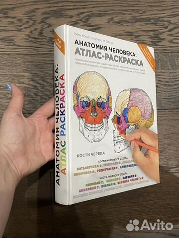 Анатомия человека: атлас-раскраска